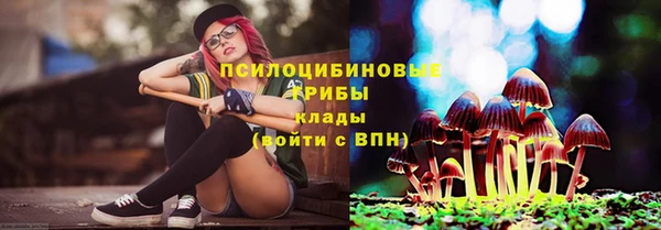 2c-b Белоозёрский