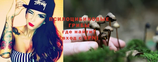 марки lsd Белокуриха